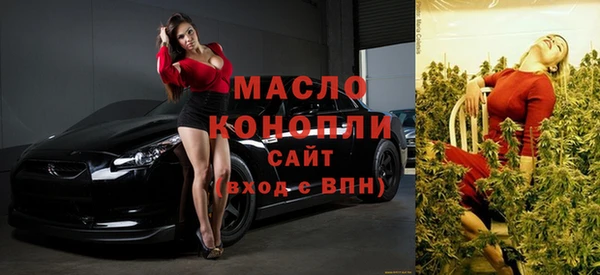 гашик Вязьма