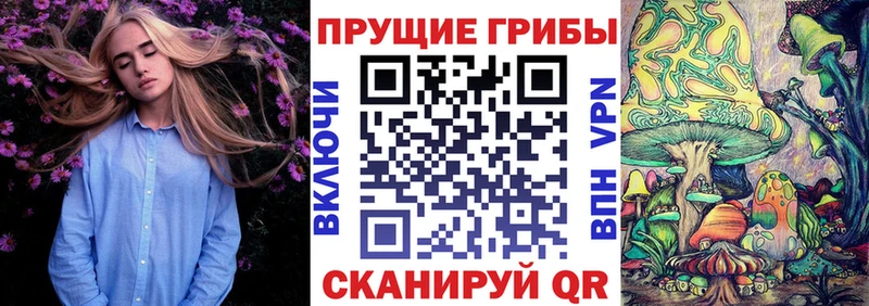 Галлюциногенные грибы Psilocybe  Зарайск 