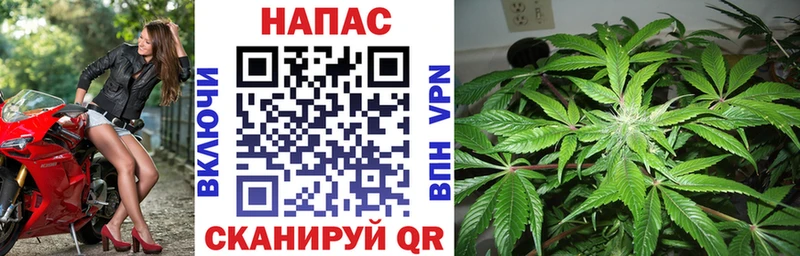где купить наркоту  Зарайск  мега ссылка  Конопля планчик 